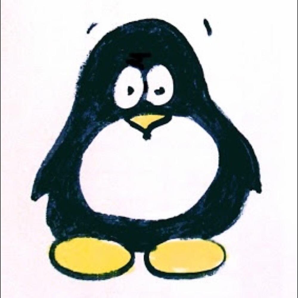 MEET YOUR POSHER, Corey (The Posh Penguinista)